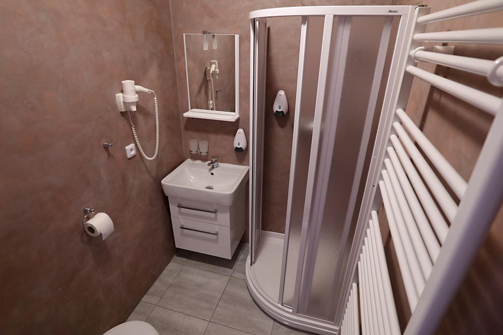Pension Viola Domažlice Extérieur photo